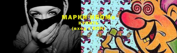 шишки Богородицк