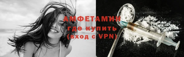 шишки Богородицк