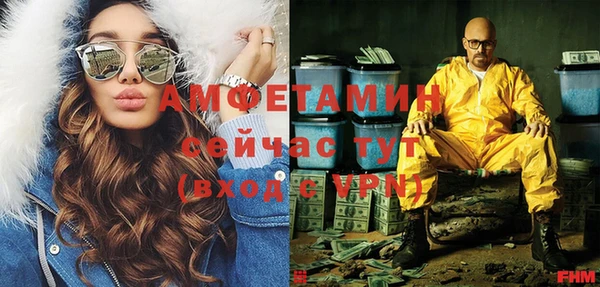 шишки Богородицк