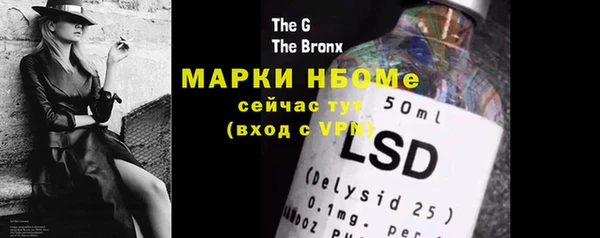 шишки Богородицк