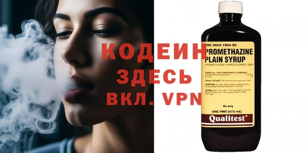 шишки Богородицк