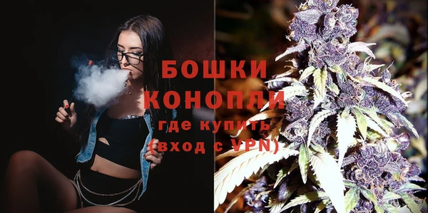 шишки Богородицк