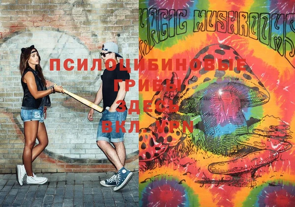шишки Богородицк