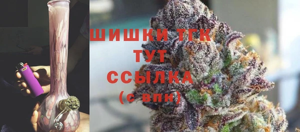шишки Богородицк