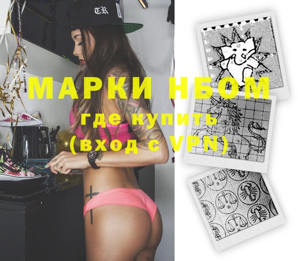шишки Богородицк