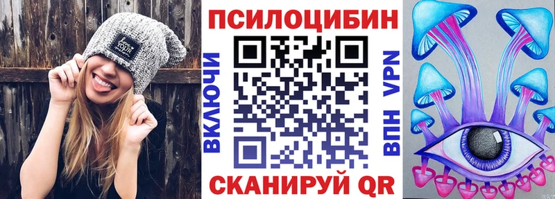 Псилоцибиновые грибы Psilocybe  Нерчинск 