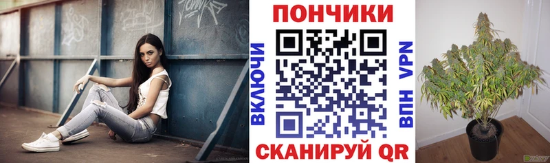 Марихуана MAZAR  закладка  МЕГА сайт  Нерчинск 